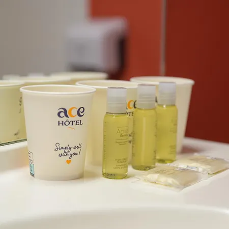 Hotel Ace Paris Roissy 3*